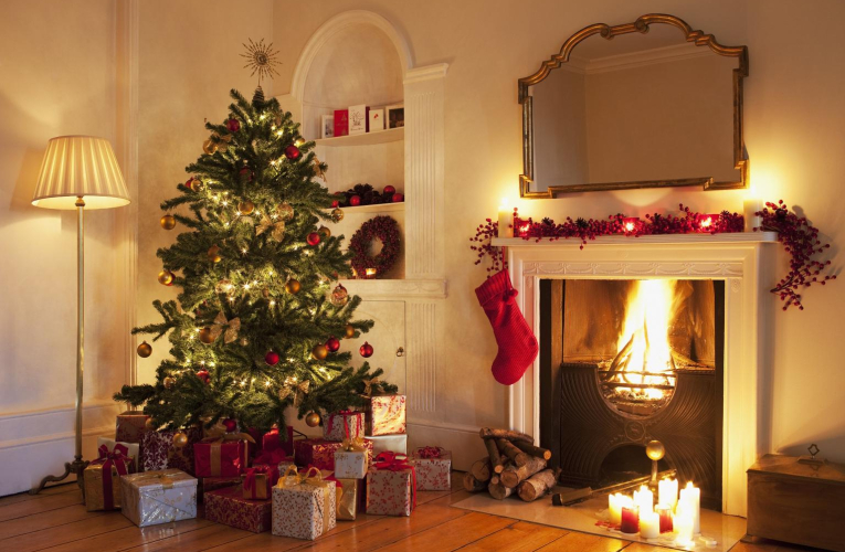 Nos conseils pour bien choisir son sapin. crédit photo : Getty Images