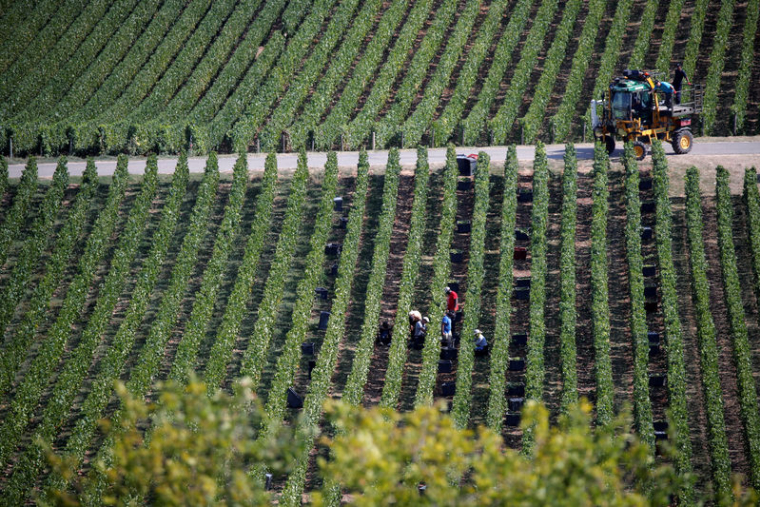 LES VENTES DE CHAMPAGNE DE VRANKEN POMMERY FREINÉES PAR LES GILETS JAUNES