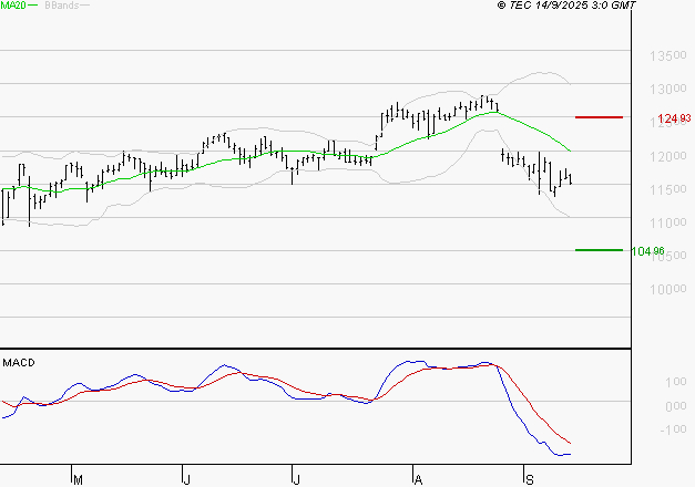 BIOMERIEUX : Sous les résistances, une consolidation est probable