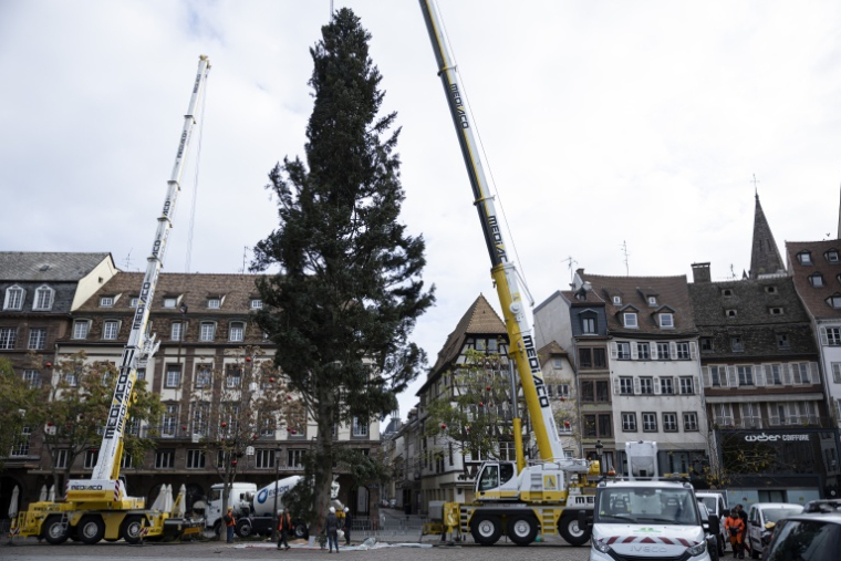 Des ouvriers installent le sapin de Noël sur la place Kléber à Strasbourg le 26 octobre 2026 ( AFP / ROMEO BOETZLE )
