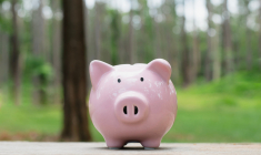 (Crédits photo: ©   Pintira - stock.adobe.com)