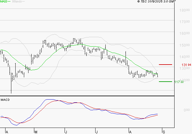 CAPGEMINI : Retour possible sur les supports