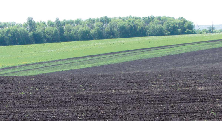 L'Ukraine possède les terres les plus fertiles de la planète grâce à la présence du tchermoziom, très riche en humus, potasse, phosphore et oligo-éléments. (© CC)