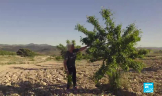 Face à la désertification en Espagne, la résistance s'organise