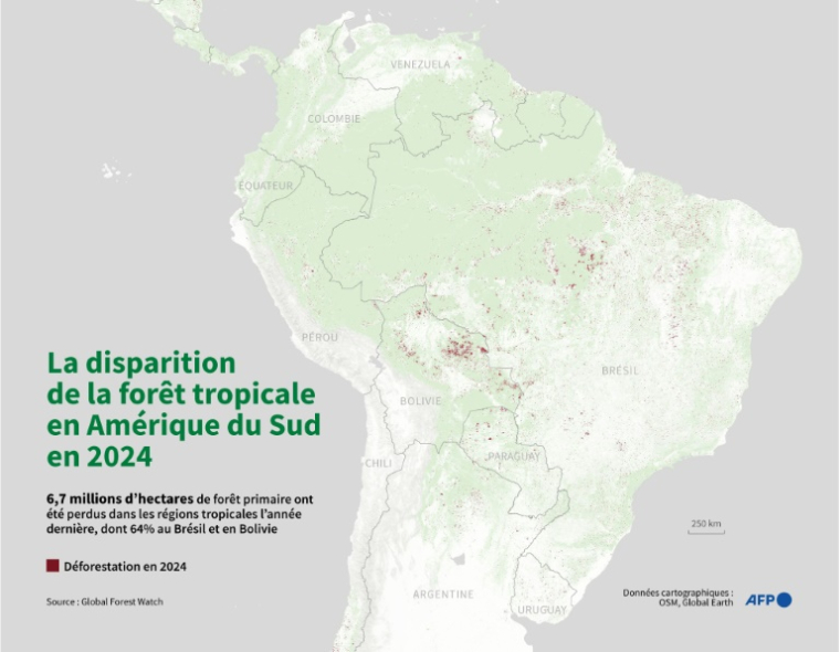 Carte montrant la perte de couverture arborée en Amérique du Sud en 2024, particulièrement élevée au Brésil et en Bolivie, d'après les données de Global Forest Watch ( AFP / Ioana PLESEA )