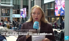 Budget, prix de l'énergie et guerre en Ukraine : les enjeux du sommet de l'UE à Bruxelles