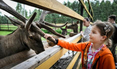 Une petite fille caresse un élan dans le parc national Lossinyï Ostrov près de Moscou le 2 août 2025 ( AFP / Alexander NEMENOV )
