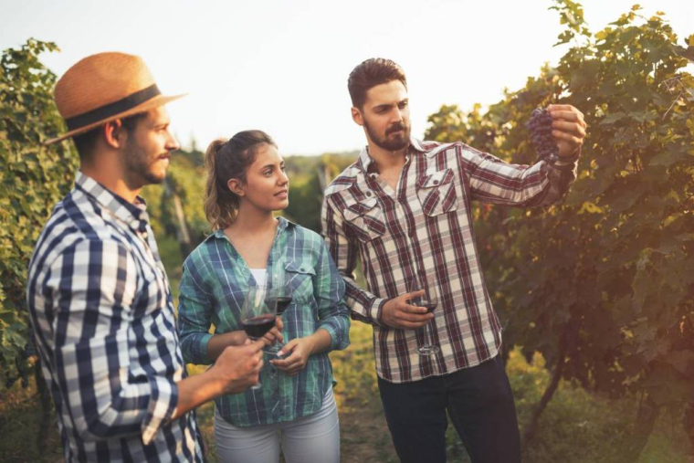 L'œnotourisme, une nouvelle tendance qui séduit de plus en plus de Français / iStock.com - nd3000
