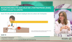 La responsabilité sociale ou sociétale de l'entreprise