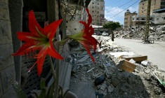Un pot de fleur au pied d'un immeuble endommagé à Tyr, le 23 juin 2026 après des semaines de guerre entre Israël et le Hezbollah. ( AFP / Joseph EID )