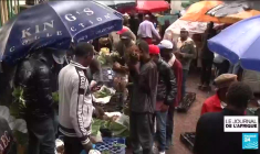 Au Kenya, le khat ne s'exporte plus