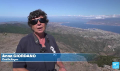 Italie : en Sicile, le projet de pont suspendu inquiète