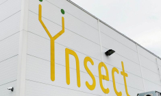 La start-up française Ynsect