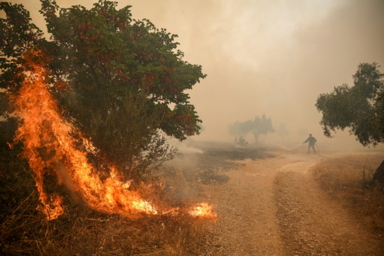 Les pompiers tentent d'éteindre un incendie de forêt dans le village de Loumpa, à l'ouest d'Athènes, dans la région de Béotie, en Grèce le 2 août 2026 ( AFP / Aris Oikonomou )