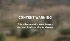 Minneapolis: l'élue démocrate Ilhan Omar, cible de Trump, visée par un jet de liquide