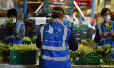 ( AFP / REMY GABALDA )