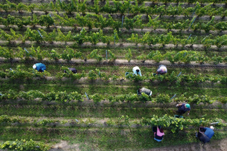 ( AFP / ROMAIN PERROCHEAU )