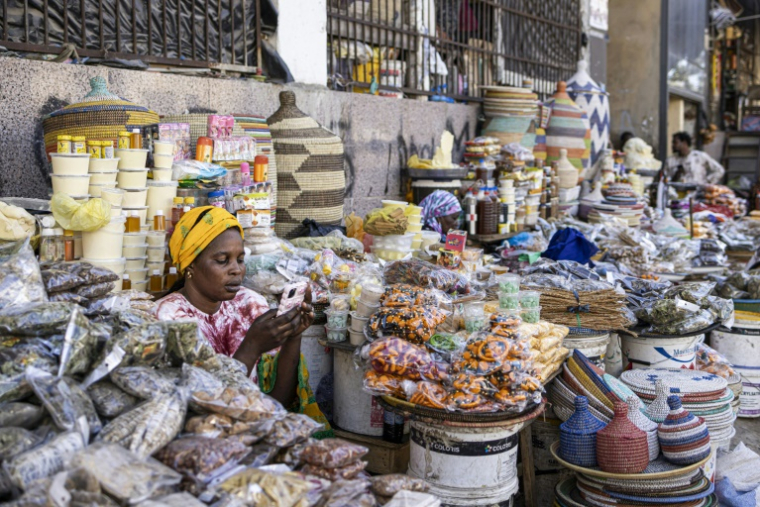 Une vendeuse consulte son téléphone dans son stand au marché du Mali à Dakar, le 22 janvier 2025.  ( AFP / PATRICK MEINHARDT )
