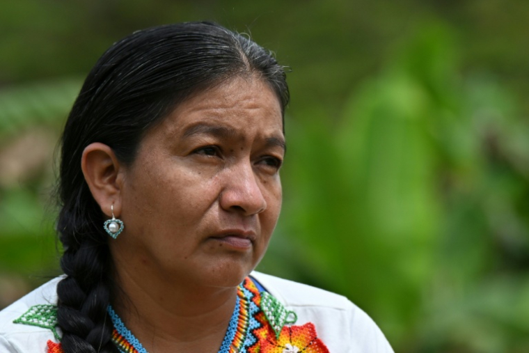 Francia Giraldo, une femme autochtone embera chami et dirigeante communautaire, le 9 avril 2026 à Vereda Tuma Drua, dans une réserve de Pueblo Rico, en Colombie ( AFP / Diana SANCHEZ )