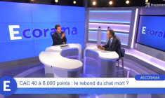 CAC 40 à 6.000 points : le rebond du chat mort ?
