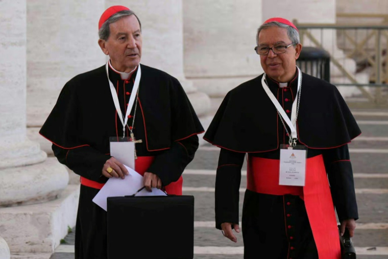 Les cardinaux colombiens Ruben Salazar Gomez (g) et Luis Jose Rueda Aparicio au Vatican, le 30 avril 2025 ( AFP / Dimitar DILKOFF )