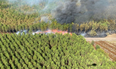 Une vue aérienne montre un incendie de forêt en Gironde en France