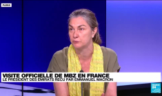 Analyse: Visite officielle du président des Émirats arabes unis en France