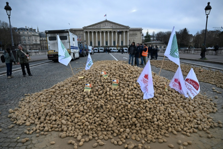 Des pommes de terre déversées lors d'une manifestation d'agriculteurs devant l'Assemblée nationale, le 13 janvier 2026 à Paris ( AFP / Martin LELIEVRE )