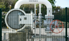 ( AFP / DENIS LOVROVIC )