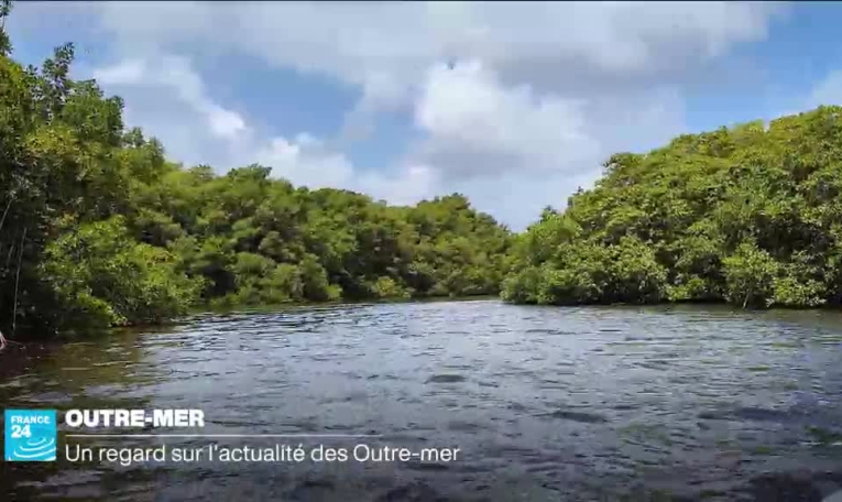 Collection prêt-à-porter été 2025 : les nouvelles amazones