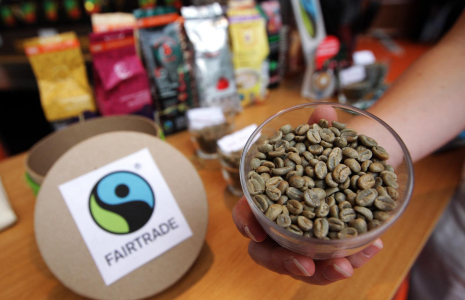 Des grains de café non torréfiés issus du commerce équitable sont présentés lors de l'exposition "Le Monde du café", le 27 juin 2013, à Nice. ( AFP / JEAN-CHRISTOPHE MAGNENET )