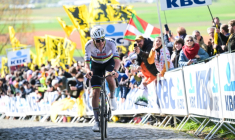 Tadej Pogacar dans le Tour des Flandres le 5 avril 2026 ( BELGA / DAVID PINTENS )