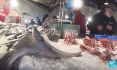 Législatives en Tunisie : un taux d'abstention record, l'opposition appelle à l'union contre Kais Saied