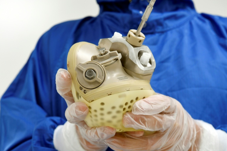 Un employé de CARMAT présente un cœur artificiel bioprothétiqueau siège de l'entreprise à Bois-d'Arcy, le 29 août 2018 dans les Yvelines ( AFP / BERTRAND GUAY )