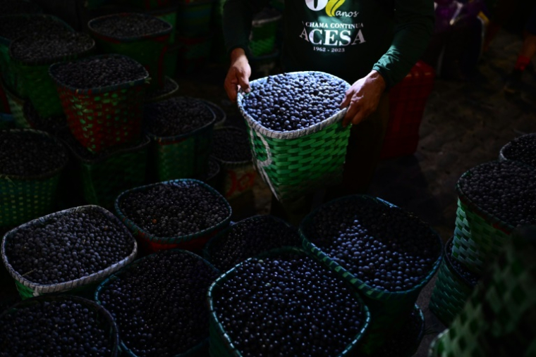 Des baies d'açaï au marché de gros, à Belém, dans l'État du Pará, au Brésil, le 5 novembre 2025 ( AFP / Pablo PORCIUNCULA )