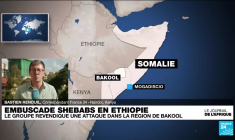 Éthiopie : les shebab revendiquent une attaque sur l'armée éthiopienne dans la région de Bakool