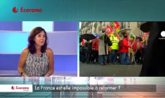 La France est-elle impossible à réformer ?