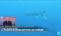 O.Poivre d'Arvor "L'océan, ce n'est que des solutions"