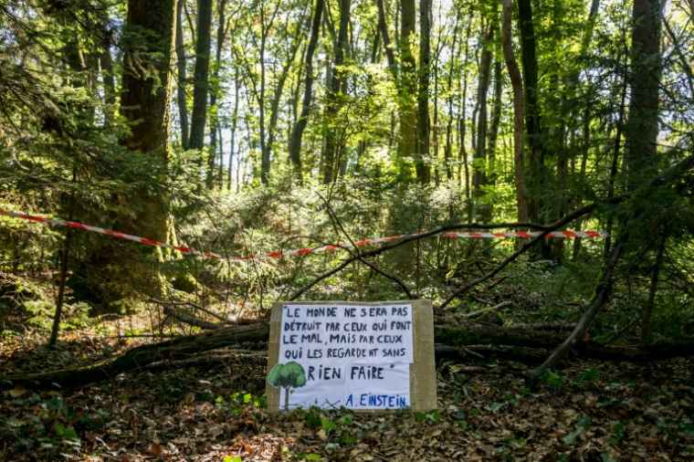 Une pancarte installée dans une forêt par des militants opposés à la construction de la controversée autoroute A412, près de Perrignier, en Haute-Savoie, le 14 octobre 2026 ( AFP / Fabrice COFFRINI )