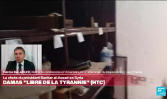 Syrie : à quoi s'attendre après la chute du régime de Bachar al-Assad ?