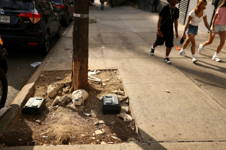 Ces boites noires dans une rue de New York le 1er août 2025 doivent, par une méthode contraceptive, faire baisser la population de rat dans la ville ( AFP / CHARLY TRIBALLEAU )