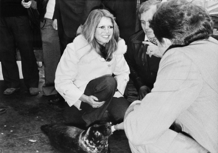 L'actrice française Brigitte Bardot lors d'une manifestation contre la chasse aux phoques, le 8 avril 1976 à Fécamp  ( AFP / Jean-Pierre PREVEL )