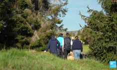 Meilleurs ouvriers de France : dans les coulisses de l'excellence