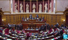 IVG dans la Constitution : un vote crucial au Sénat