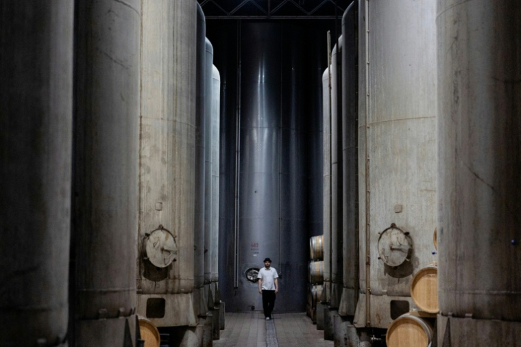 Les cuves du domaine Chateau Chizay, dans l'ouest de l'Ukraine, le 27 août 2026  ( AFP / Tetiana DZHAFAROVA )