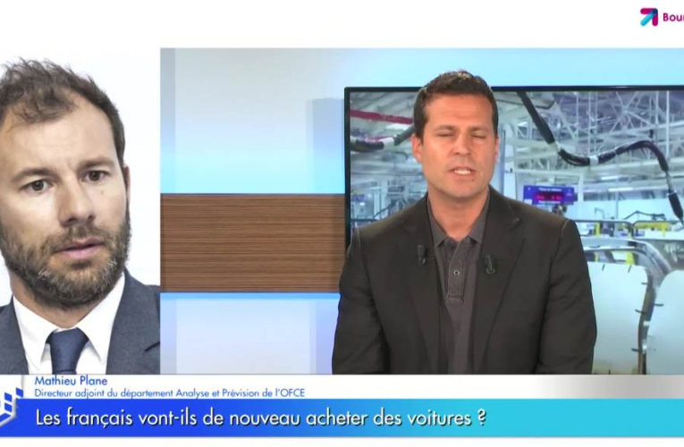 Les français vont-ils de nouveau acheter des voitures ?