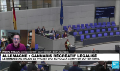 Allemagne : le cannabis récréatif légalisé