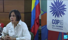 COP16 sur la biodiversité en Colombie : un sommet sous la menace de la guérilla