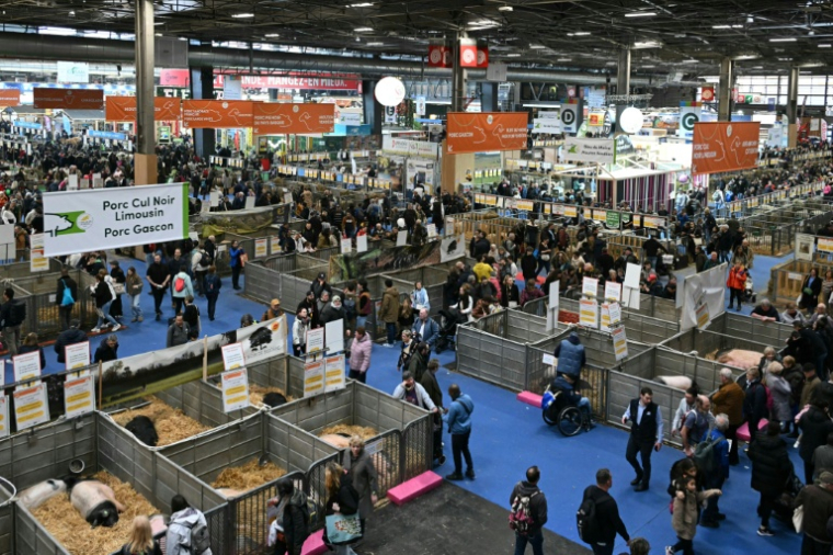 Des visiteurs du Salon de l'Agriculture au parc des expositions de la Porte de Versailles, le 27 février 2025 à Paris ( AFP / Bertrand GUAY )