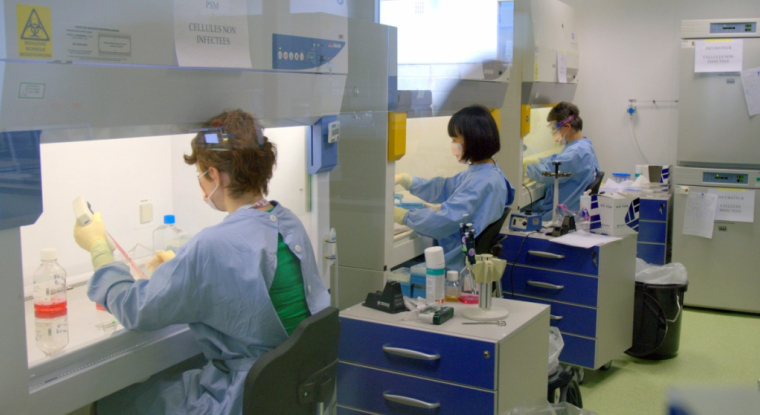 Transgene pourrait toucher 30 millions d'euros de sa collaboration avec Servier. (© Transgene)